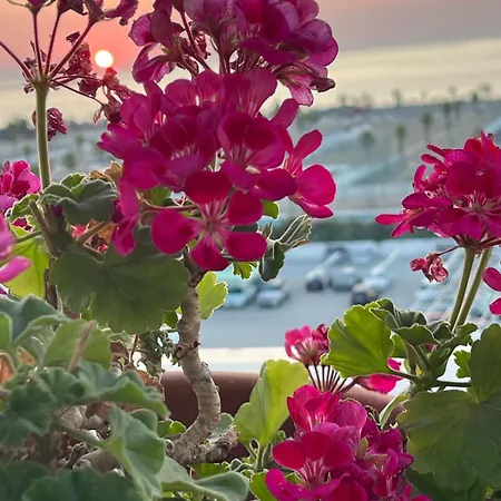 Casa Da Luigina Lägenhet Chioggia